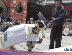 Uniknya Perayaan Seni Rias Domba Pada Idul Adha