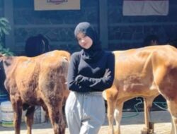 Viral! Wanita Cantik Lulusan S2 Unpad Jualan Sapi Di Kampung, Netizen: Pada Didalam Usaha