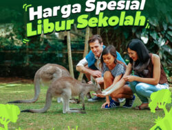 Yuk, Cek Harga Khusus Tiket Masuk Taman Safari Bogor Pada Libur Sekolah!