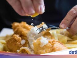 Zonk Fish and Chips Di Resto, Potongannya Kecil-kecil Mirip Nugget