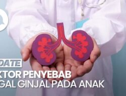 Penyebab Utama Gagal Ginjal Dini Di Anak