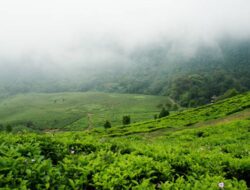 10 Rekomendasi Tempat Wisata Sejuk Di Jakarta Untuk Healing Ke Akhir Pekan