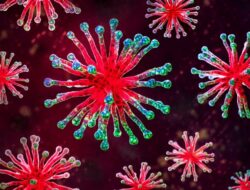 10 Patogen Paling Mematikan Ke Dunia Beserta Gejalanya