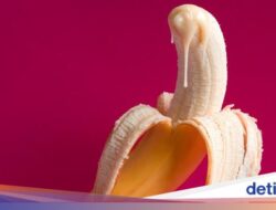 Perbedaan Sperma Vs Air Mani, Fakta Umum yang Kerap Terlupakan