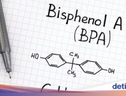 Uni Eropa Larang Kandungan BPA Ke Kemasan Kaleng dan Plastik Akhir 2024