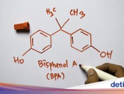 Peran BPA Di Kehidupan Sehari-hari, Yakin Cuma Ada Ke Kemasan Air Minum?