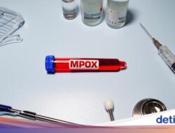 RI Catat 88 Tindak Kejahatan Mpox ‘Cacar Monyet’, Ini Sebaran Wilayahnya