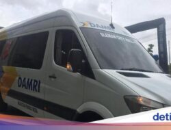 Prambanan atau Borobudur dan Bandara YIA, Traveler Bisa Naik DAMRI