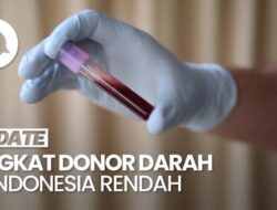 PMI Sebut Tingkat Donor Darah Hingga Indonesia Masih Rendah