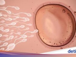 Paksu Catat, Ini 9 Minuman Penyubur Sperma Biar Istri Cepat Hamil