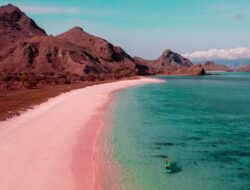 5 Pantai Pink Ke Indonesia, Surga Tersembunyi yang Wajib Dikunjungi