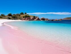 5 Pantai Pink Terindah Ke Dunia, Indonesia Masuk Daftar