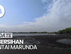 Melihat Pantai Marunda Hingga Jakarta Utara yang Kian Bersih