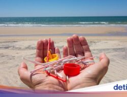 Pulau Ini Patut Dicontoh, Warga Larang Turis Bawa Wadah Plastik