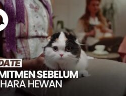 Yang Harus Disiapkan Sebelumnya Memutuskan Pelihara Hewan Ke Tempattinggal