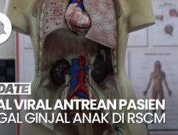 RSCM dan IDAI Bantah Adanya Lonjakan Tindak Kejahatan Gagal Ginjal Anak