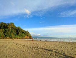 7 Rekomendasi Pantai Sukabumi, Salah Satunya Bersama Sebab Itu Pusat Konservasi Penyu