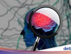 Studi Ungkap Hal Sepele Ini Ternyata Bisa Bikin Pikun