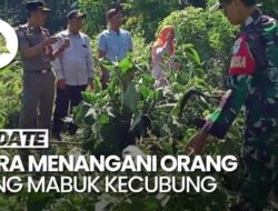 Kenali Tanda-Tanda Mabuk Kecubung dan Pertolongan Pertamanya