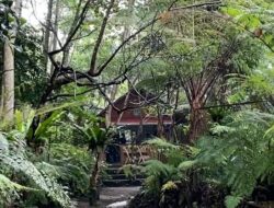 Pesona Tankaman Natural Park, Asyik Buat Healing