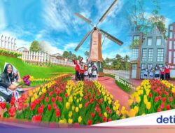 Taman Belanda Hadir Hingga Rivera Bogor, Ada Tulip Warna-warni & Kincir Angin