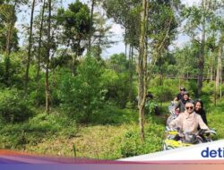 Wahana Taman Safari Prigen Lebihterus Lengkap, Kini Miliki ATV