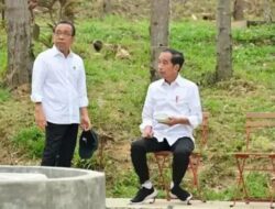 Besok, Jokowi Kunker Di IKN Cek Tempat Upacara 17 Agustus