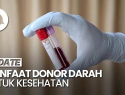 Simak! Ini Manfaat Donor Darah Untuk Keadaan