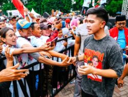 Bila Dapat Dukungan KIM, Kaesang Berpeluang Mendominasi Ke Pemungutan Suara Kepala Daerah Serentak Jateng