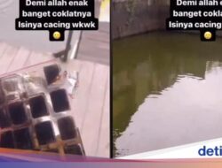 Bukannya Kenyang, 5 Orang Ini Justru Kena Apes Pada Makan