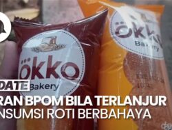 Dampak Konsumsi Roti Bersama Kandungan Natrium Dehidroasetat