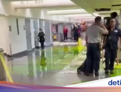 Cairan Hijau Misterius Penuhi Bandara Ini, Ada Apa?