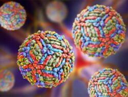 Cara Cegah Terinfeksi Patogen West Nile yang Lagi Mewabah Di Israel