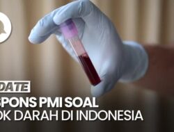 PMI Sebut Telah Penuhi 90% Stok Darah Di Indonesia