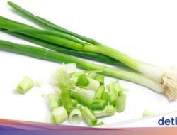 Hati-Hati! 3 Kegagalan Ini Bikin Daun Bawang Cepat Busuk