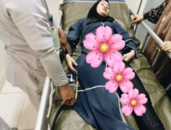 Dinda Hauw Dilarikan Ke Fasilitas Medis Gegara Jatuh Di Kuda