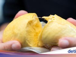 Meski Mengandung Alkohol Durian Halal Dikonsumsi Muslim, Ini Sebabnya