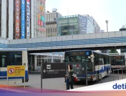 Banyak Bule Tidak Bayar Ongkos Kendaraan Angkutan Umum