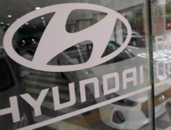 Kendaraan Hyundai Penarikan Kembali Palisade Ke Pasar Australia