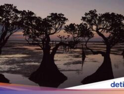 Bali dan Sumba Bikin Bangga, Masuk Daftar Pulau Terbaik Asia Pasifik 2024