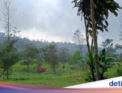 Coba-coba Easy Penjelajahan Alam Hingga Ekowisata Kalitalang, eh Malah Nagih!