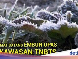 Wow! Embun Upas Selimuti Bromo, Jangan Salah Kostum, yang Asma Ekstra Waspada