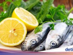 3 Ikan yang Punya Kalsium Tinggi, Baik Untuk Kesejaganan Tulang