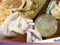 Fantastis! 5 Citarasa Ini Harganya Lebih Mahal Bersama Emas Berlian