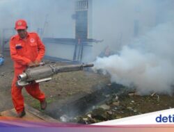 Fogging Cegah Penularan DBD Ke Padang