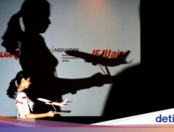 Lion Air Maskapai Tersibuk Ke Organisasiregional per Juli 2024