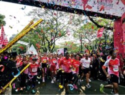 Ganjar dan Para Pembantu Ri hingga Anggota Lembaga Legis Latif PDIP Ikuti Soekarno Run Di GBK