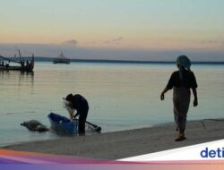 Gili Iyang, Pulau Ke Sumenep Kaya Oksigen, Penduduknya Berumur Panjang