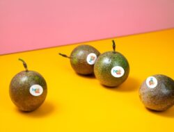 Halofresh Hadirkan Cara Mutakhir Konsumsi Buah dan Sayur yang Lebih Mudah Sebagai Keluarga Indonesia