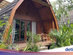 Rasakan Pengalaman Hidup Didalam Sebab Itu Warlok Desa Taro Bisa Menginap Di Homestay Ini